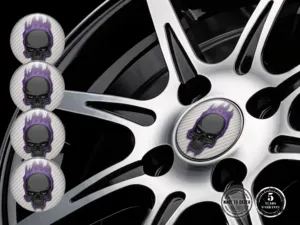Sticker Dome Feinjustiert Radiant Racing Grid